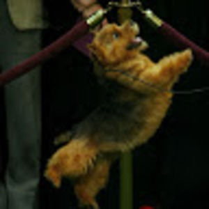 Meet your Posher, Lori